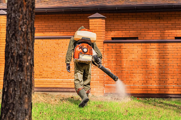 Bed Bug Clearance Verification and Documentation in Iona